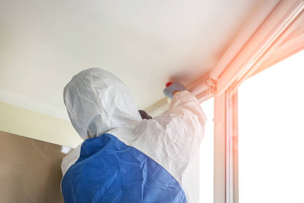 Reliable Matteson, IL Mold Removal Solutions